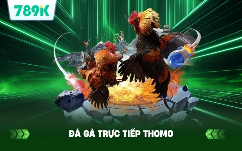 Đá Gà Trực Tiếp Thomo Bình Luận Viên Anh Quân Siêu Cuốn 1 Đá Gà Trực Tiếp Thomo Bình Luận Viên Anh Quân Siêu Cuốn