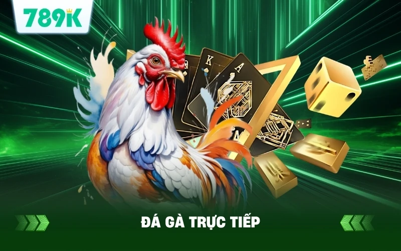 Đá Gà Trực Tiếp Hôm Nay | Xem Cực Nét, Cực Hay Tại 789K 1 Đá Gà Trực Tiếp Hôm Nay | Xem Cực Nét, Cực Hay Tại 789K