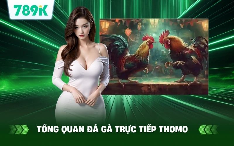 Đá Gà Trực Tiếp Thomo Bình Luận Viên Anh Quân Siêu Cuốn 2 Giới thiệu về đá gà trực tiếp thomo tại 789K